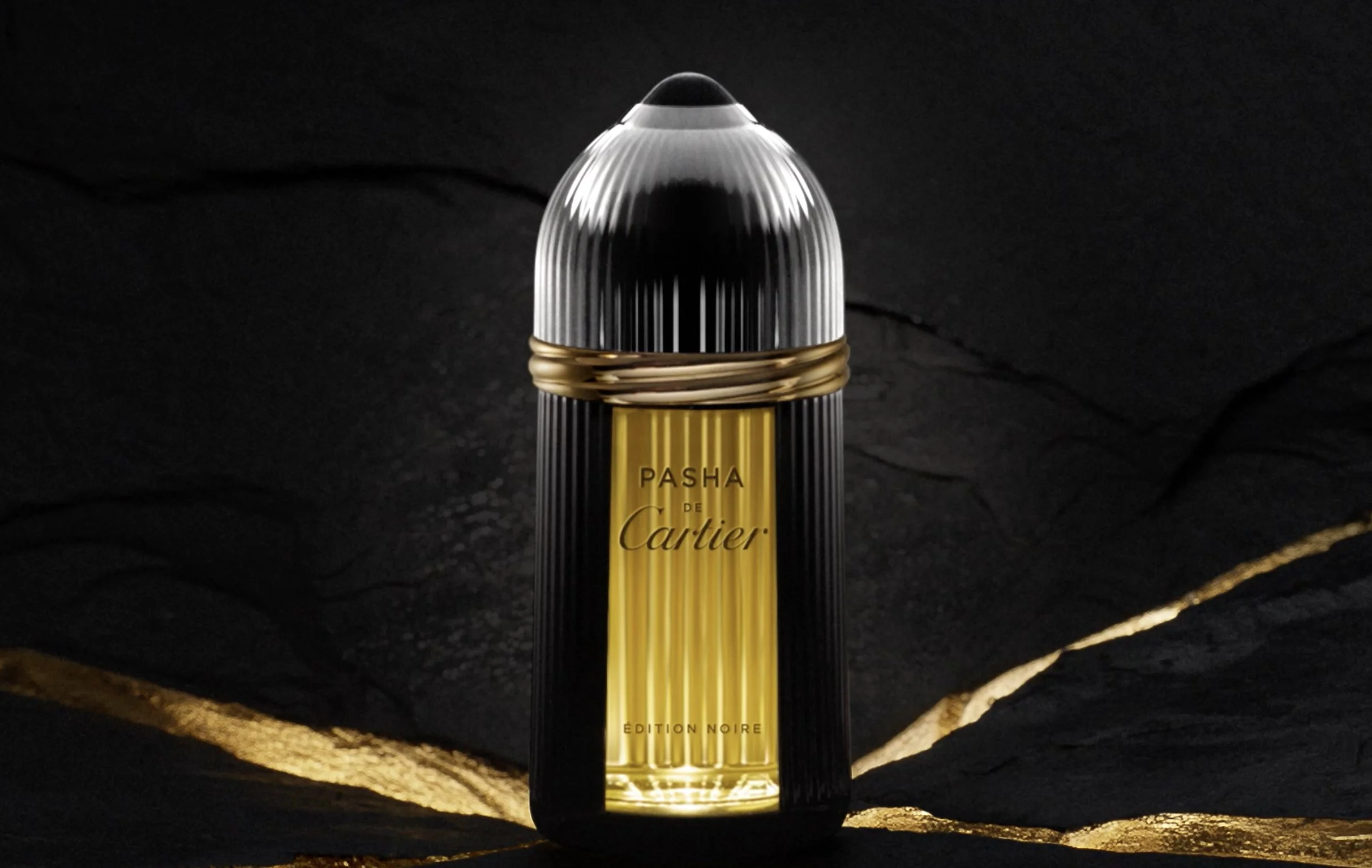 CARTIER — PASHA — visuel 2