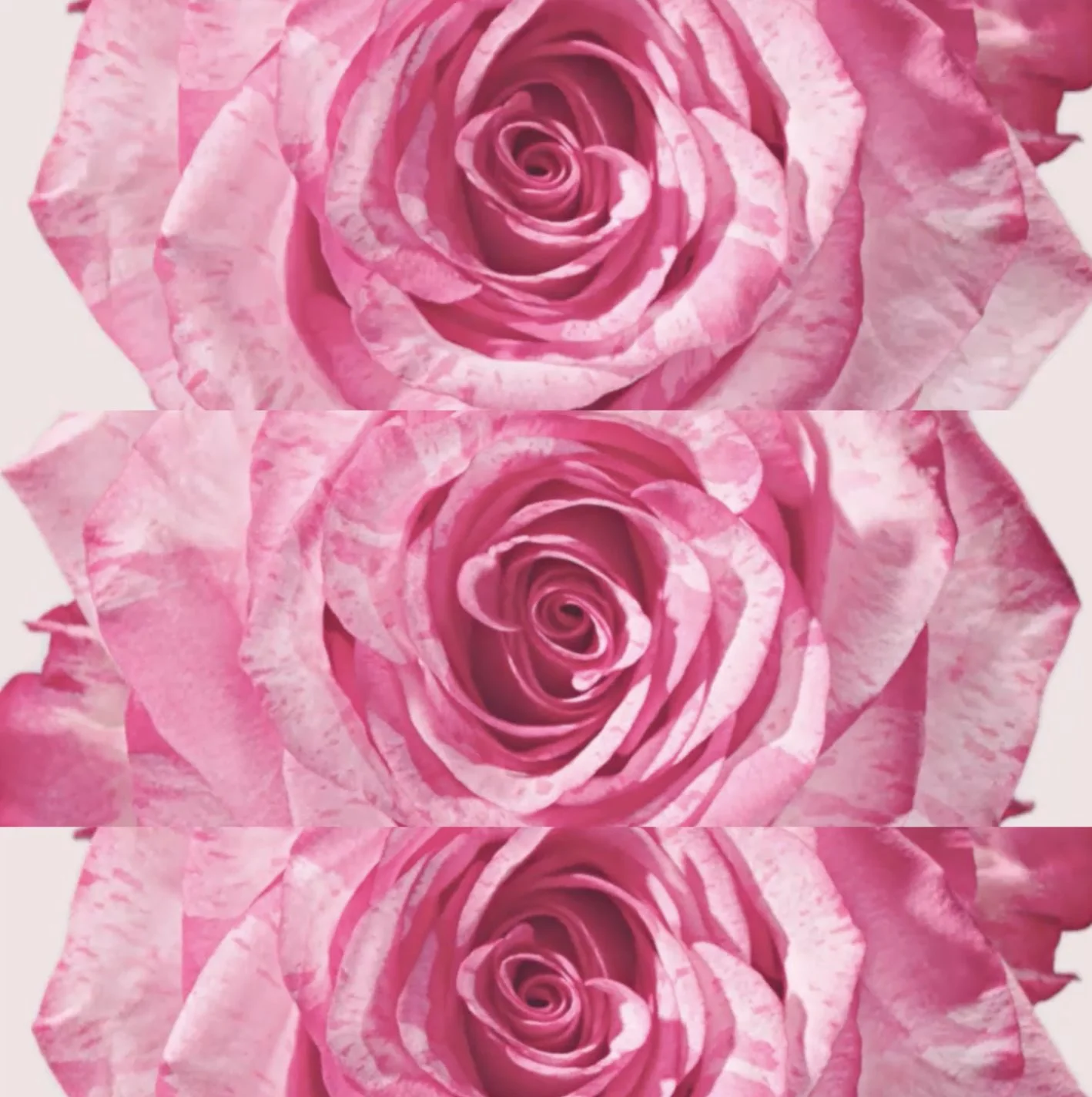GIVENCHY — Live Irresistible — visuel 2