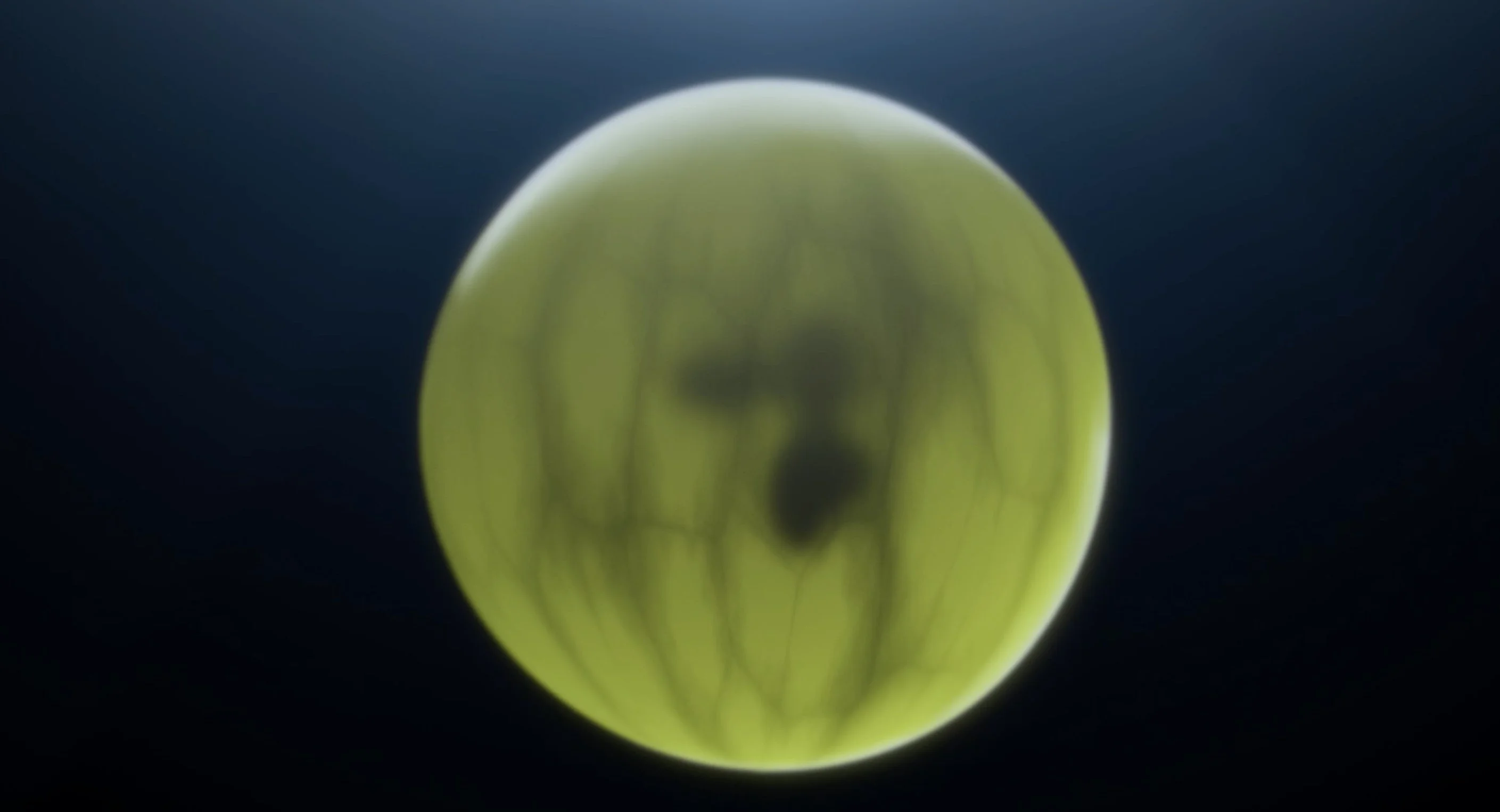 DOM PERIGNON — VINTAGE 2012 : EXPLOSIVE HARMONY — visuel 4