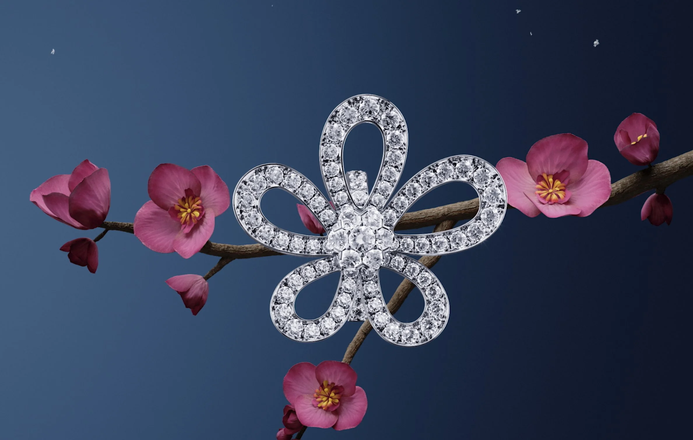 VAN CLEEF & ARPELS — Haute Joaillerie — visuel 1