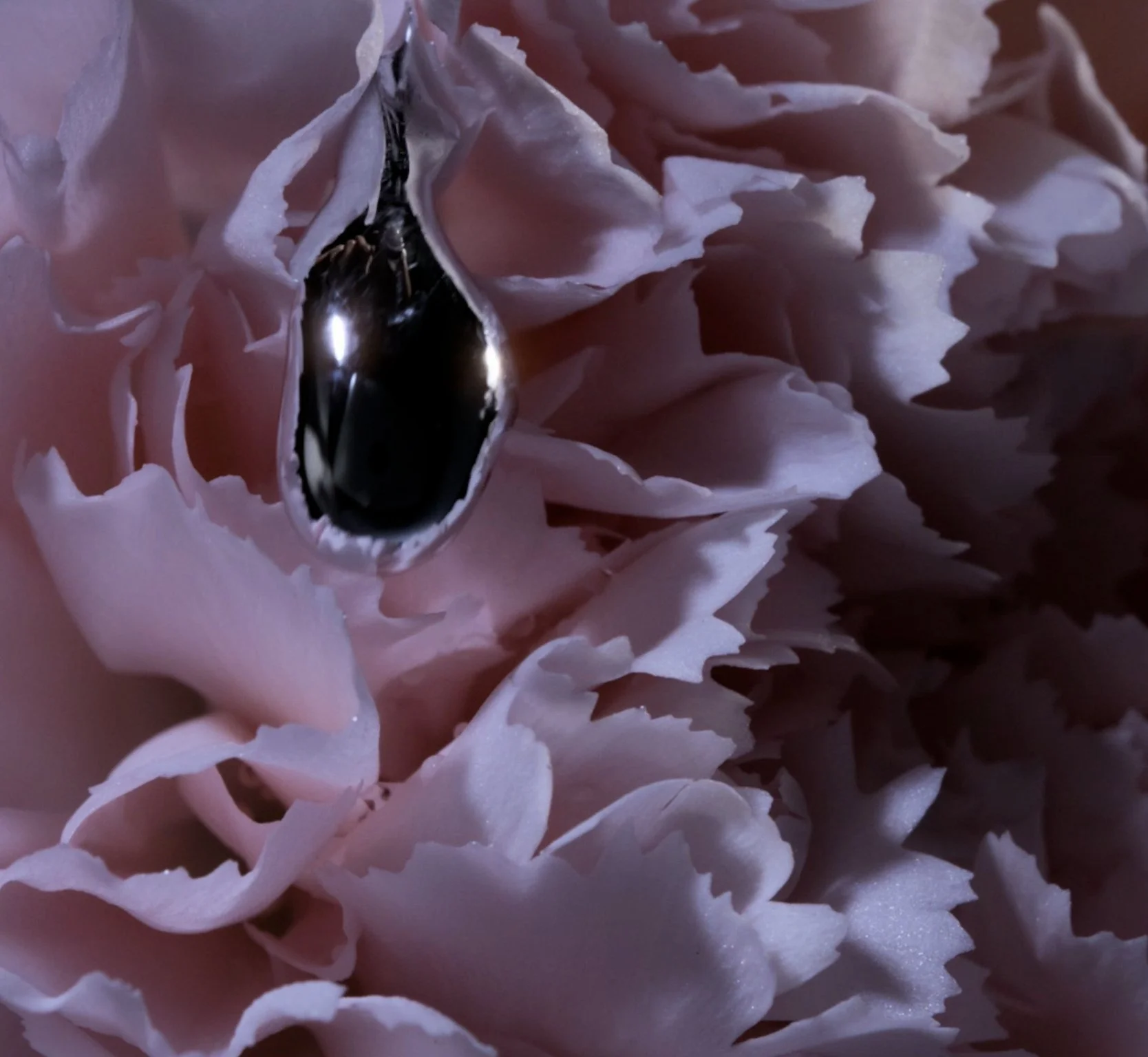 BAPTISTE OLIVIER — FLORAL JOURNEY — visuel 3