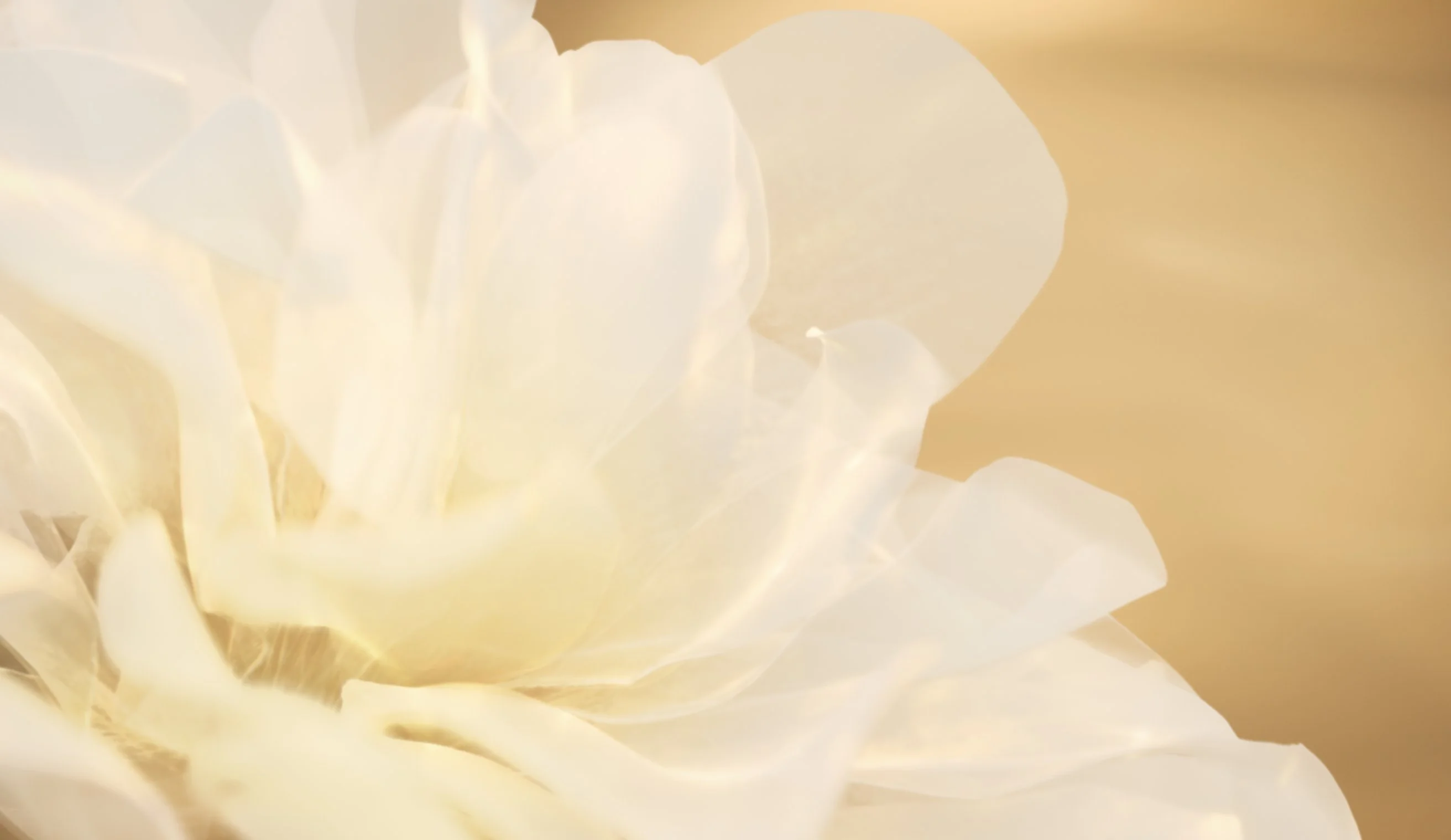CHANEL — Gabrielle Packshot — visuel 3