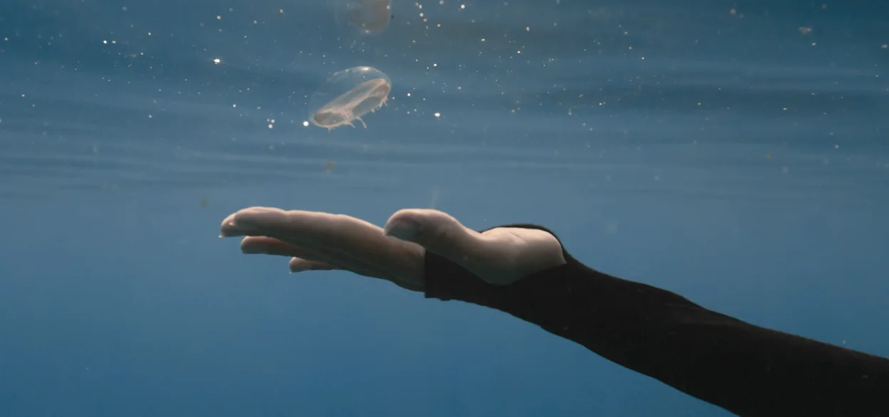DIATOMÉE — AQUABALLET 2 — visuel 1