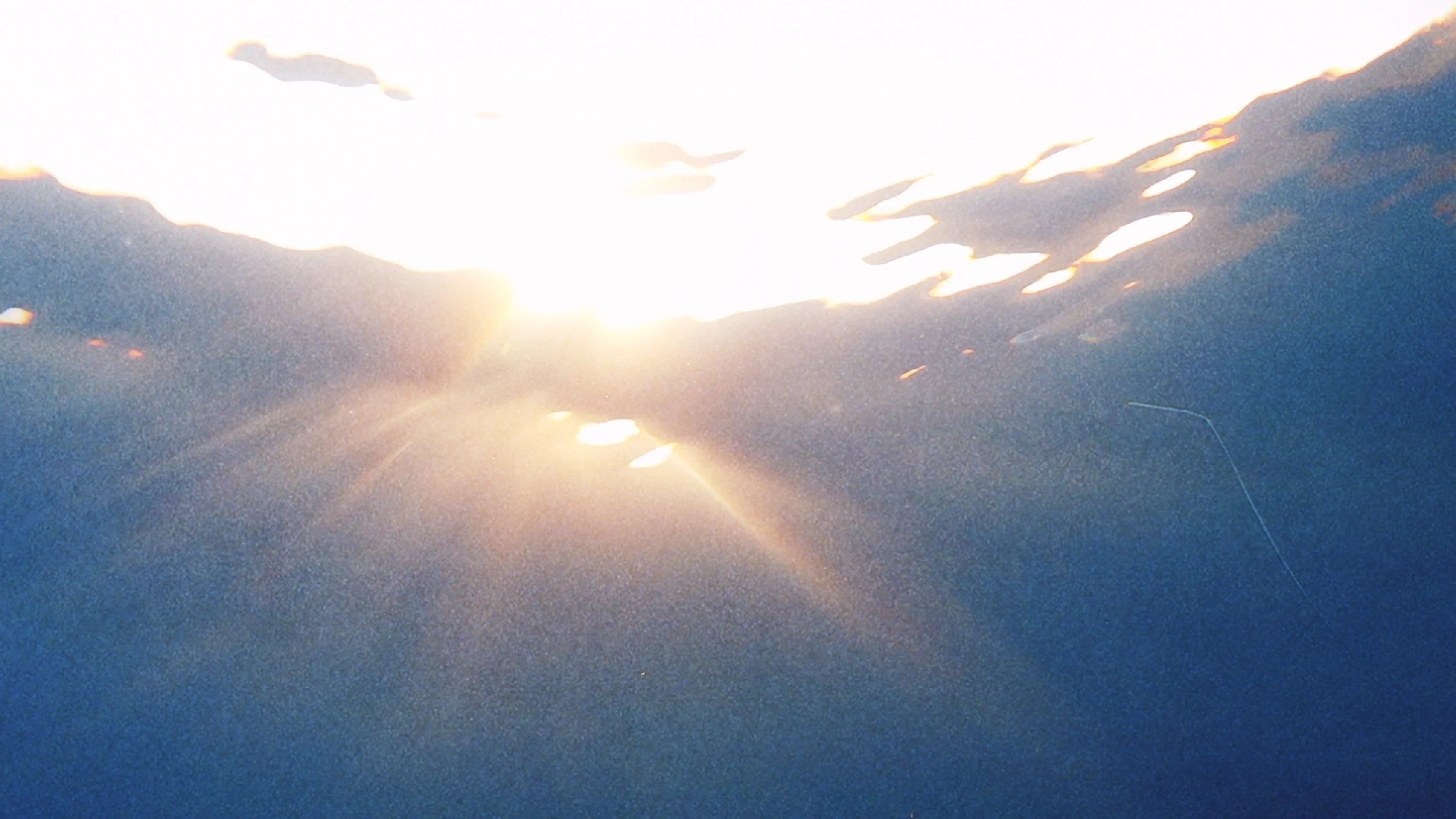 FORTE FORTE — LOVE SURFERS — visuel 6
