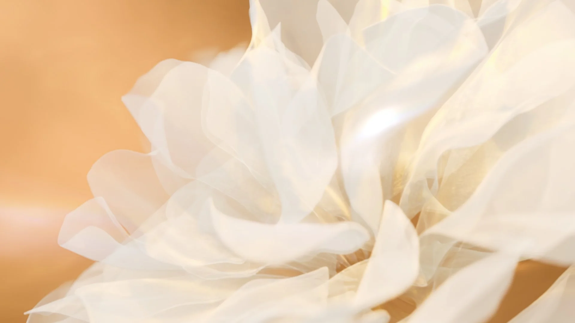 CHANEL — Gabrielle Essence — visuel 2